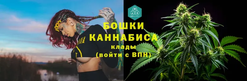 МАРИХУАНА индика  наркошоп  Краснозаводск 